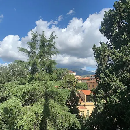 Spacious And Very Bright With View Apartman *